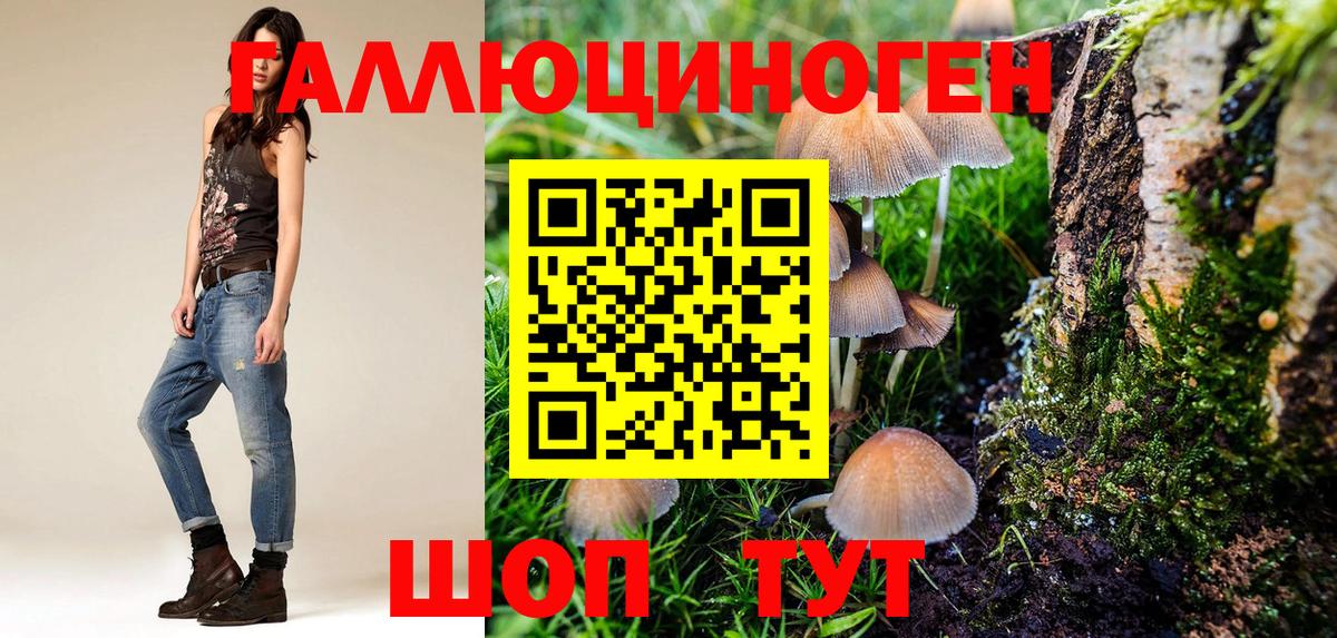 Галлюциногенные грибы мухоморы Одинцово