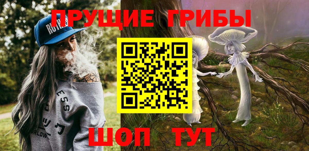 Одинцово  Псилоцибиновые грибы прущие грибы  Вход с VPN 